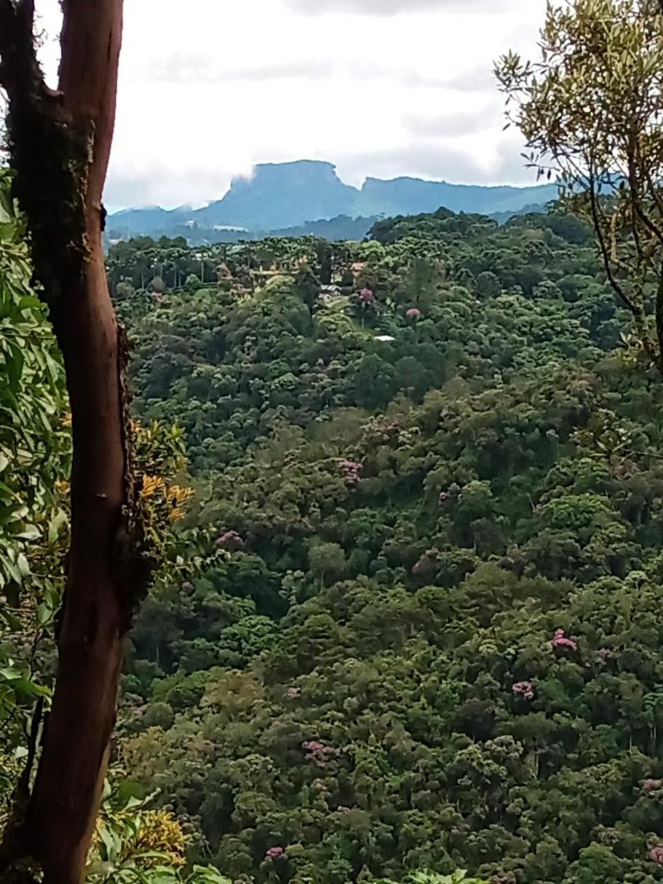 Vista Diamante - Regiao Toriba * Campos do Jordão