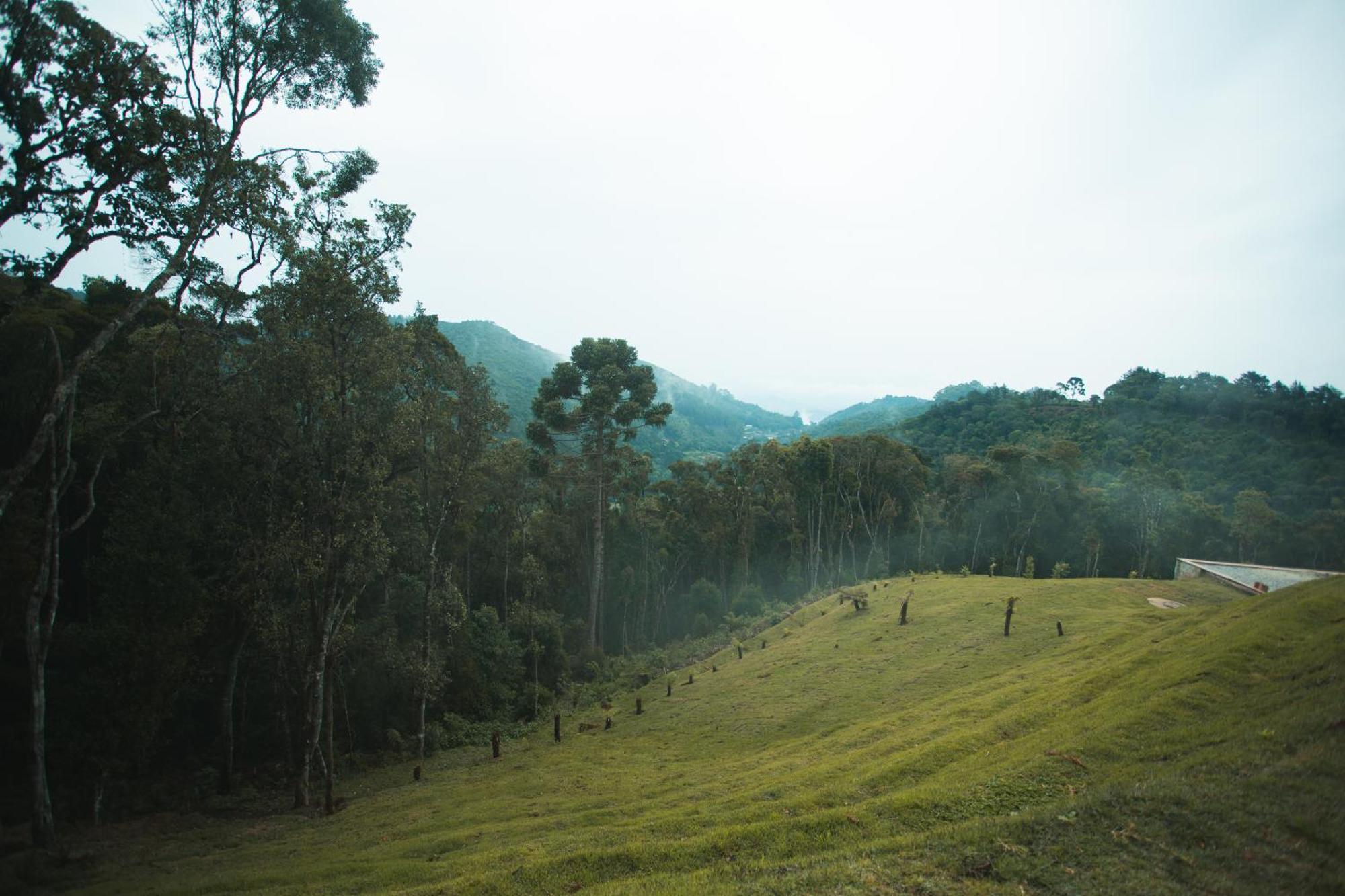 Vista Diamante - Regiao Toriba Campos do Jordão